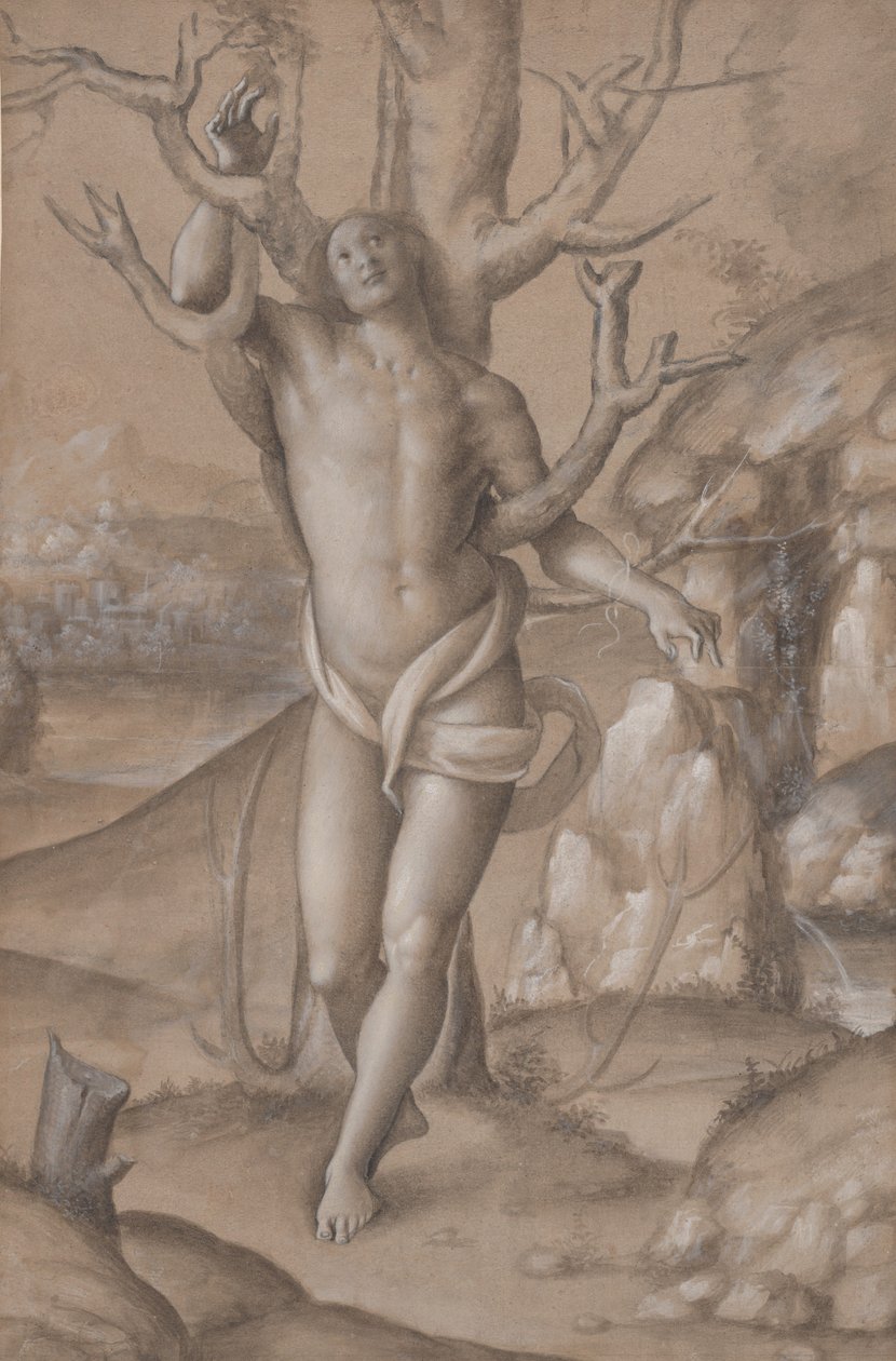 Szent Sebestyén, kb. 1524. alkotó: Gerolamo Giovenone