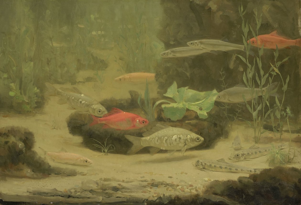Arany- és ezüsthal az akváriumban alkotó: Gerrit Willem Dijsselhof
