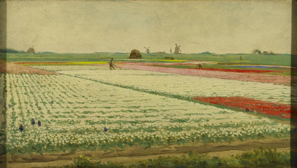 Tulipán mezők alkotó: Gerrit Willem Dijsselhof