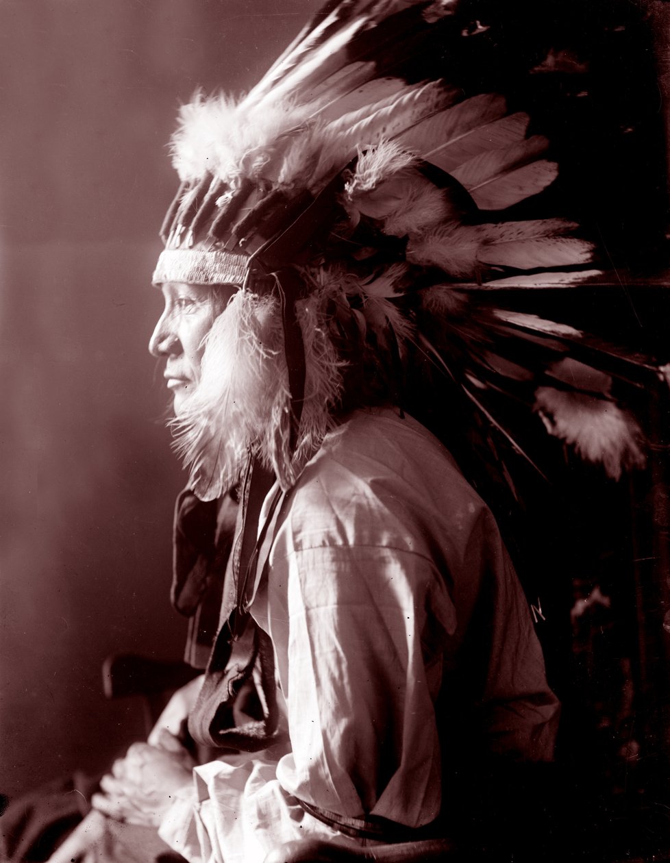 Forgószél ló alkotó: Gertrude Käsebier