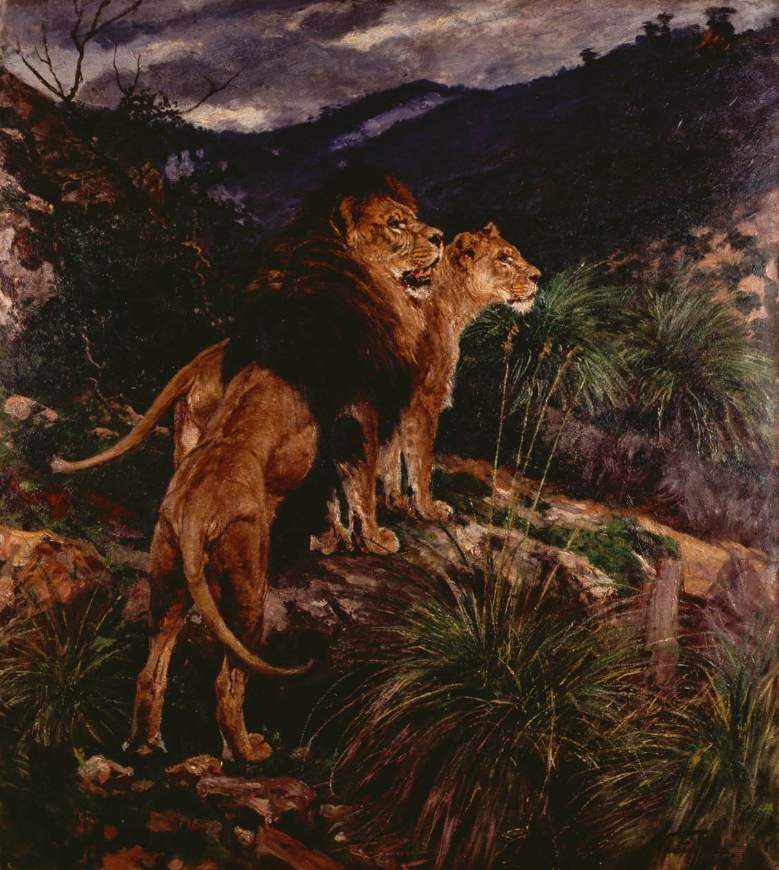 Lions Stalking (olaj, vászon) alkotó: Geza Vastagh