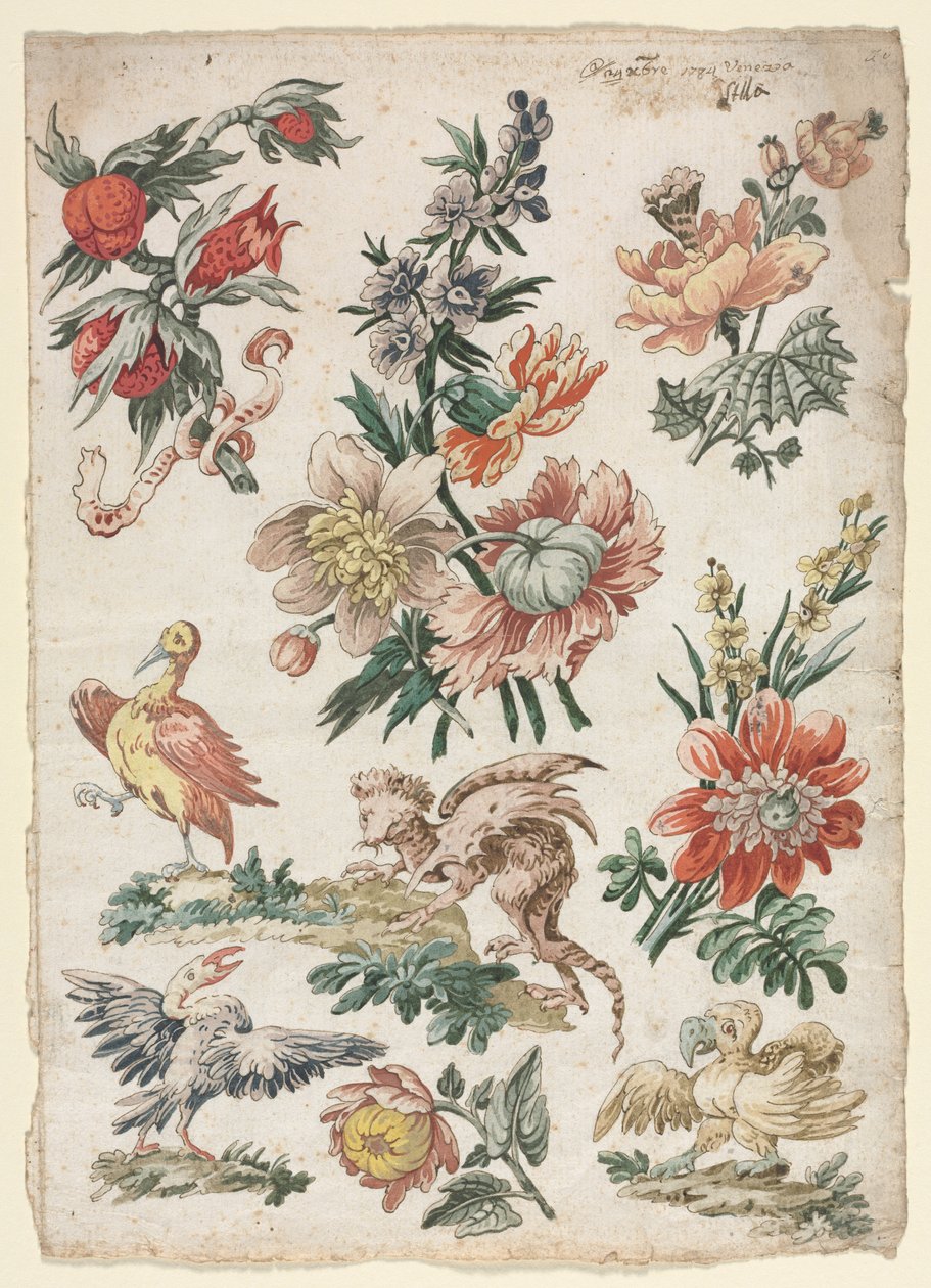 Virágminták madarakkal és griffonnal, 1784. alkotó: Giacomo Cavenezia