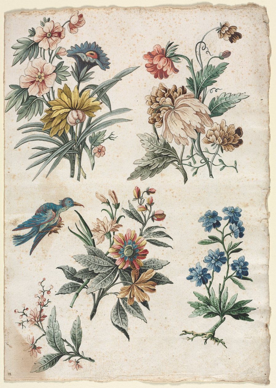 Virágos minták kék madárral, c. 177374. alkotó: Giacomo Cavenezia