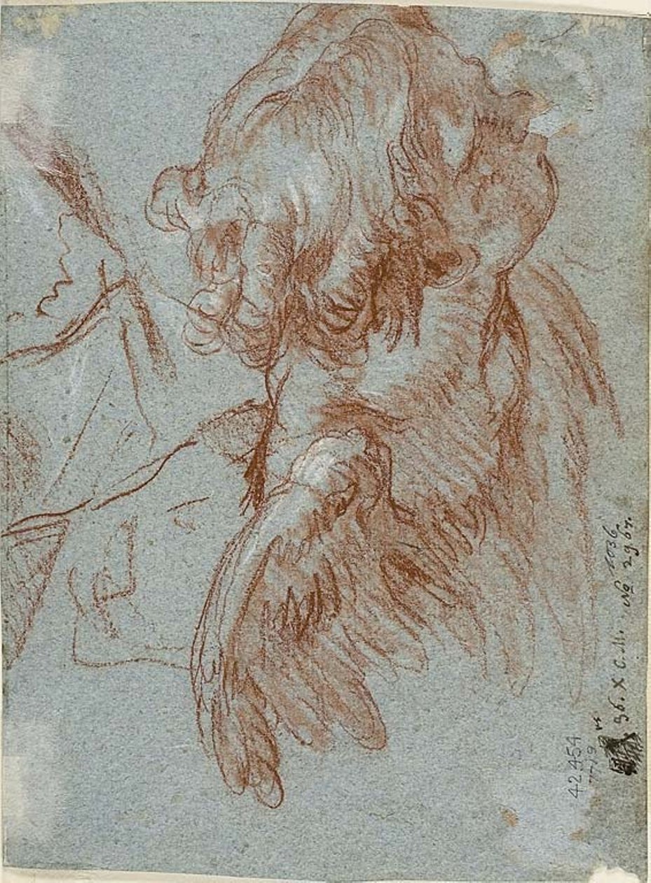 Tanulmány a részletekért: Egy kerub feje alkotó: Giambattista Tiepolo