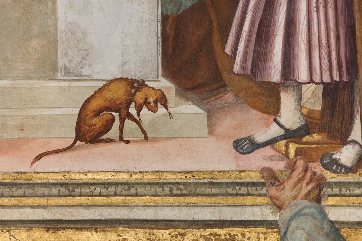 Középhajó, Ötödik északi szakasz, Templombemutató, Gian Francesco Bembo alkotó: Gian Francesco Bembo