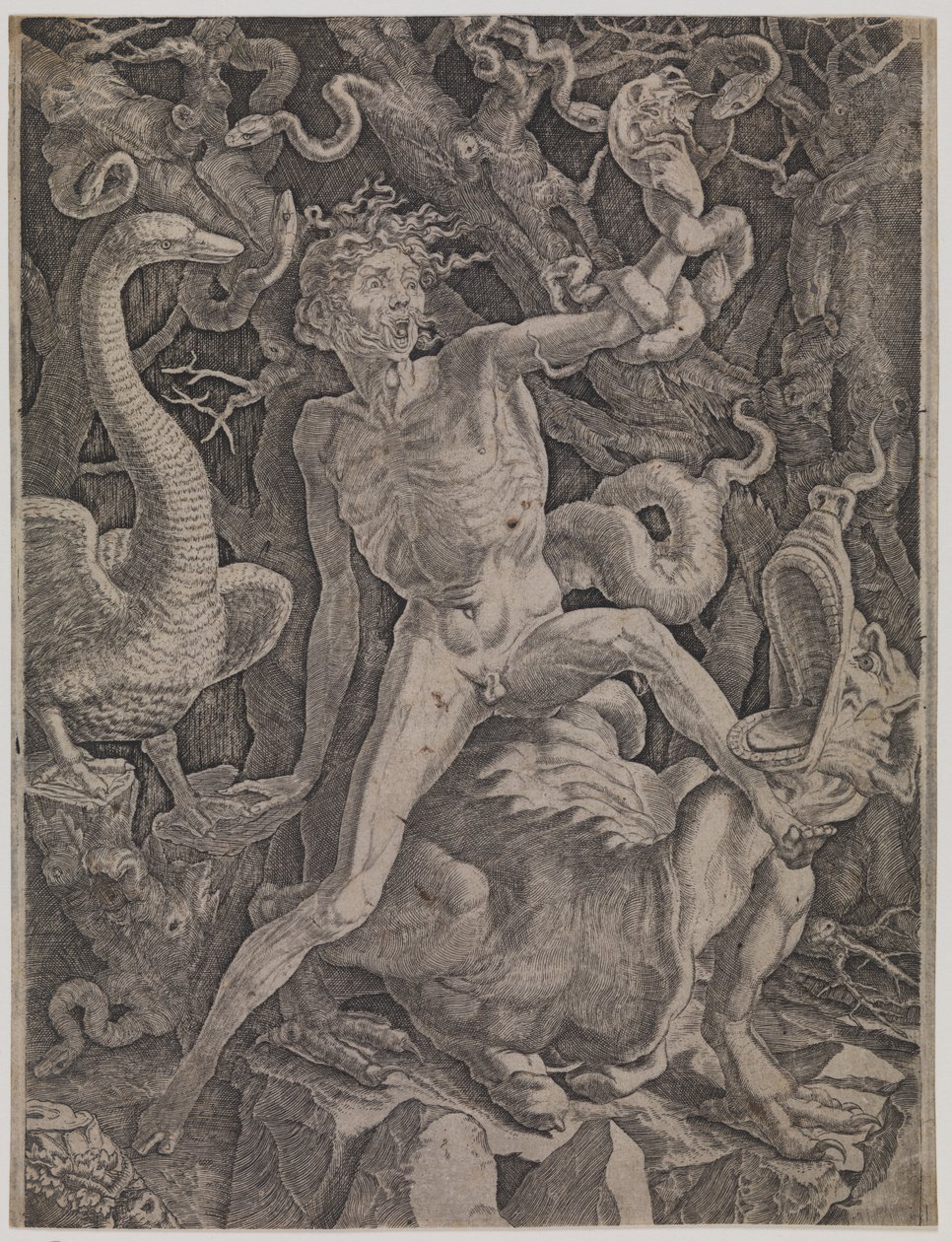A harag allegóriája alkotó: Gian Jacopo Caraglio