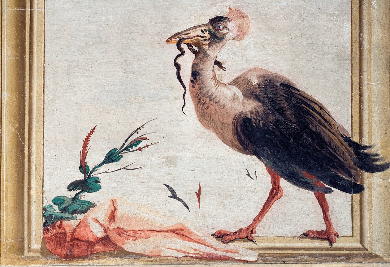 Egy kazuár, aki kígyót tart a csőrében, a Foresteria kínai szobájából, 1757 alkotó: Giovanni Domenico Tiepolo