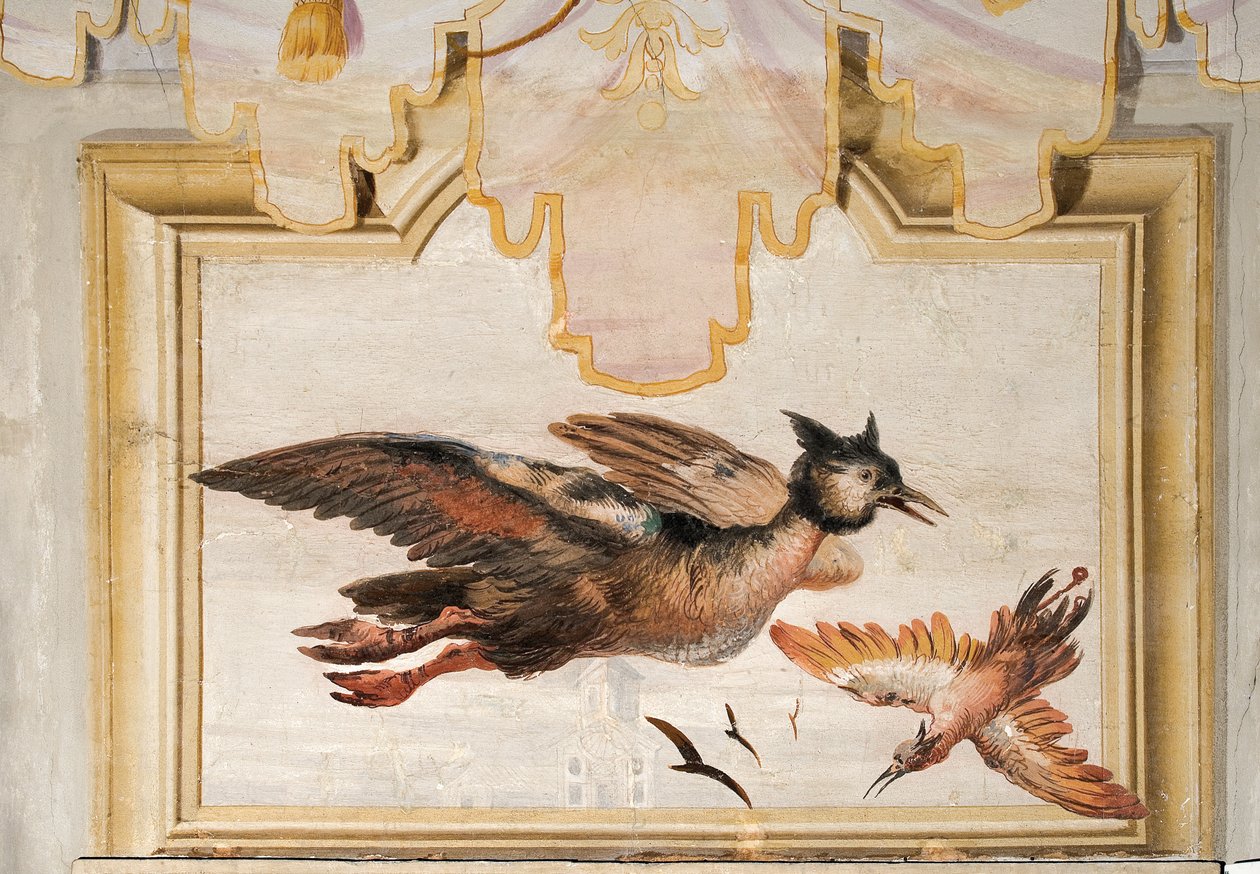 Egy pár egzotikus madár, a Foresteria kínai szobájából, 1757 alkotó: Giovanni Domenico Tiepolo