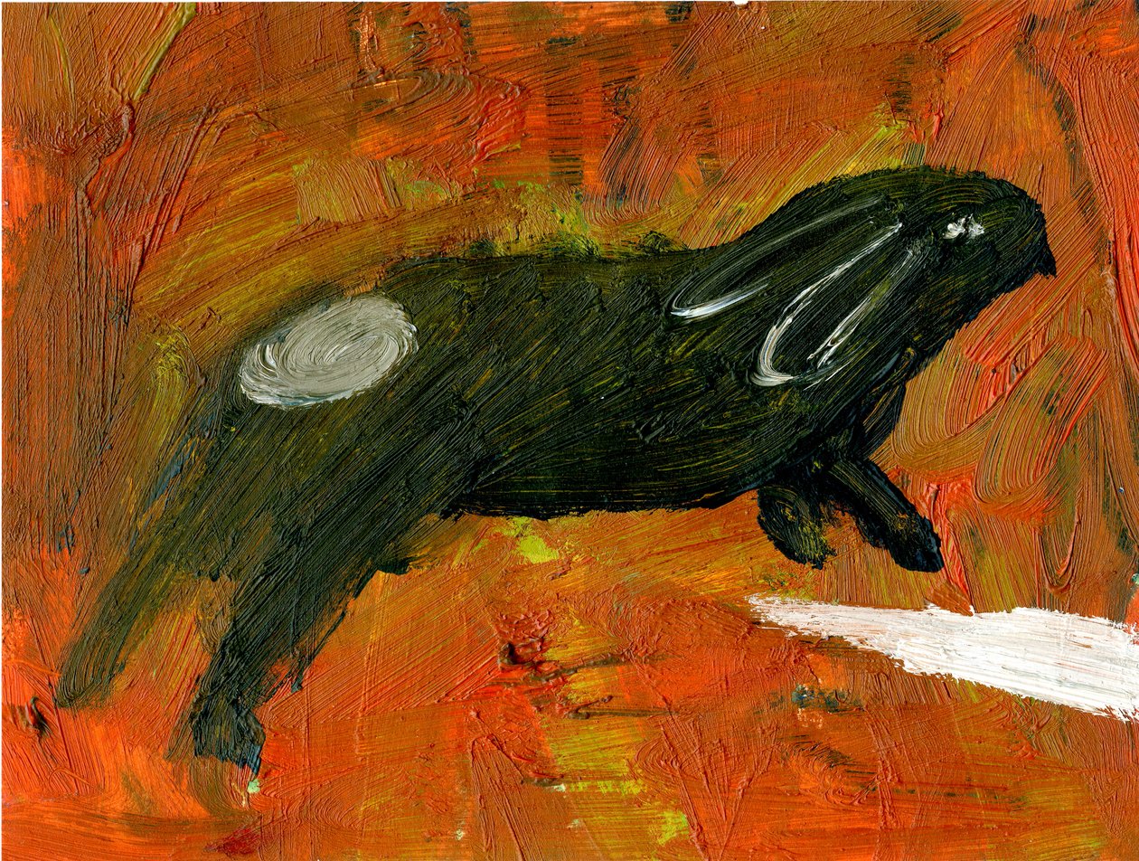 Nyúl, 2005, (olaj, papír) alkotó: Gigi Sudbury