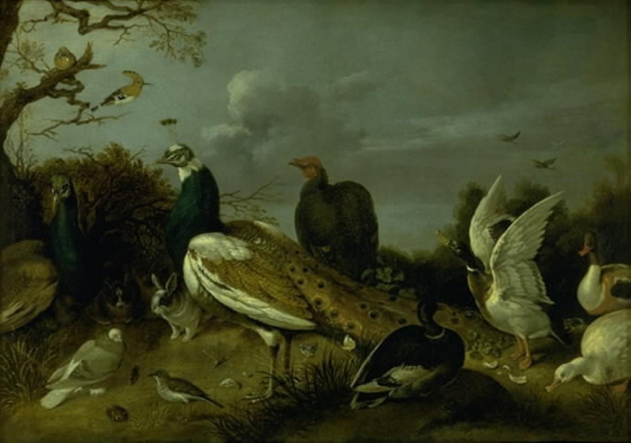 Pávák, kacsák és egyéb állatok alkotó: Gijsbert Gillisz. de Hondecoeter