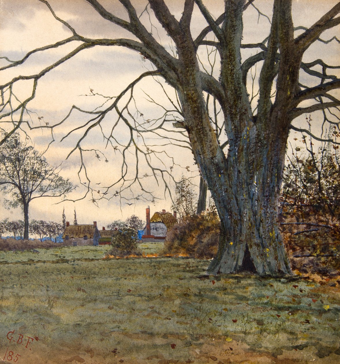 Az ősi fa alkotó: Gilbert Baird Fraser