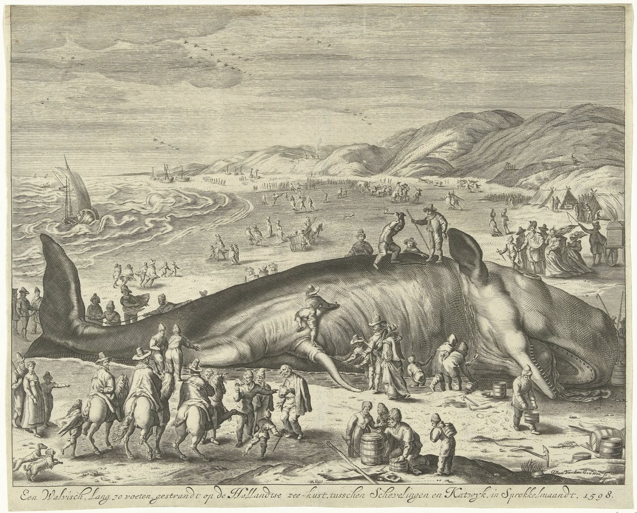 Partra vetett bálna Berckheyben, 1598 Egy 70 láb hosszú bálna a holland tengerparton, Schevelingen és Katwyk között, Sprokkelmaandtban, 1598 (cím a tárgyon) alkotó: Gilliam van der Gouwen