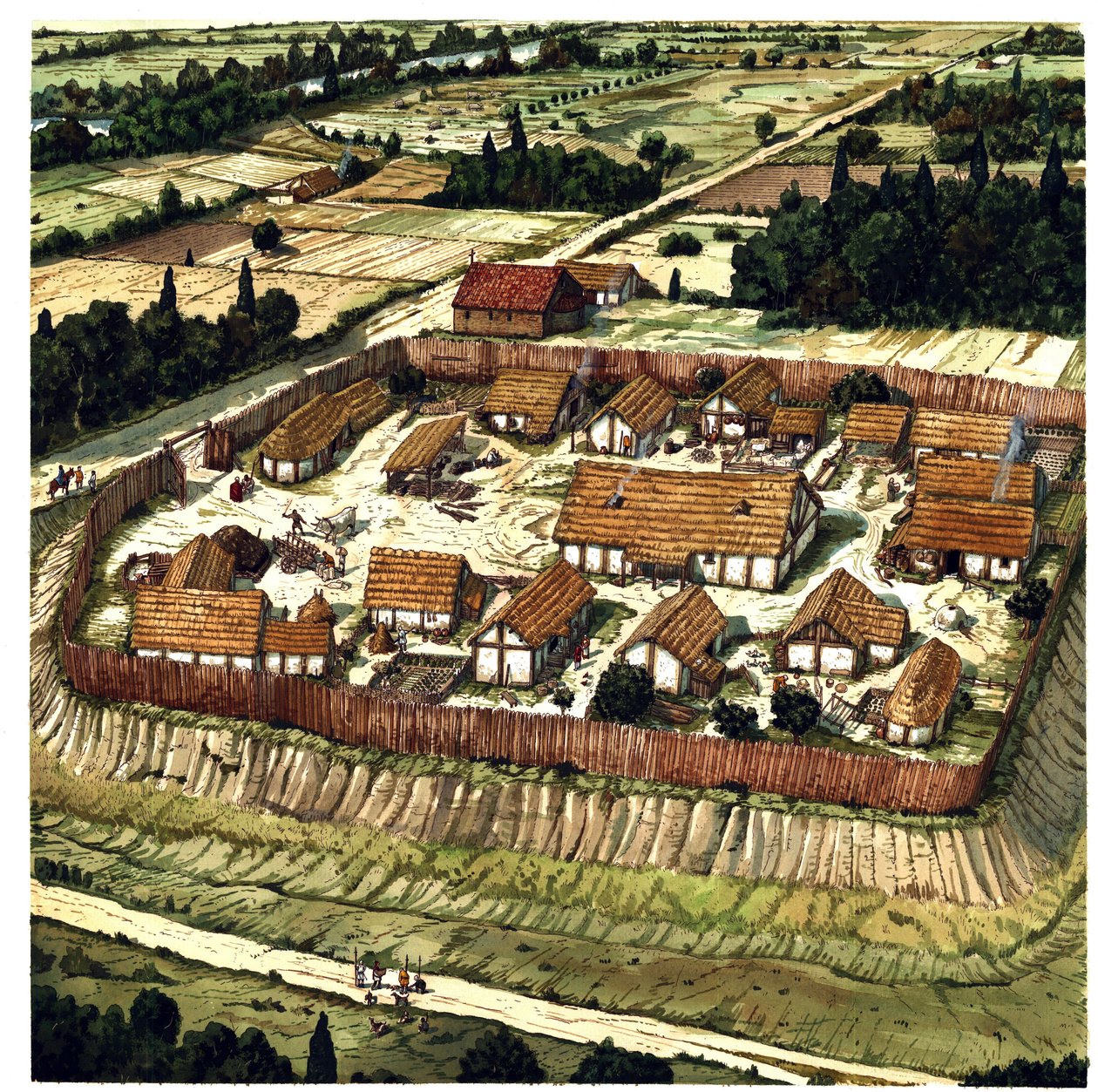 Középkor: egy Motte rekonstrukciója (illusztráció) alkotó: Giorgio Albertini