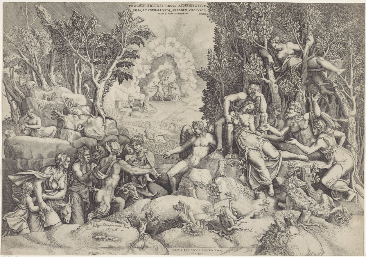 Cephalus en de Bosgoden beweenen de dood van Procris Az athéni király Prokrinosz / Cephalus lánya és felesége, ugyanaz a férj tudtán kívül (cím a tárgyon) alkotó: Giorgio Ghisi