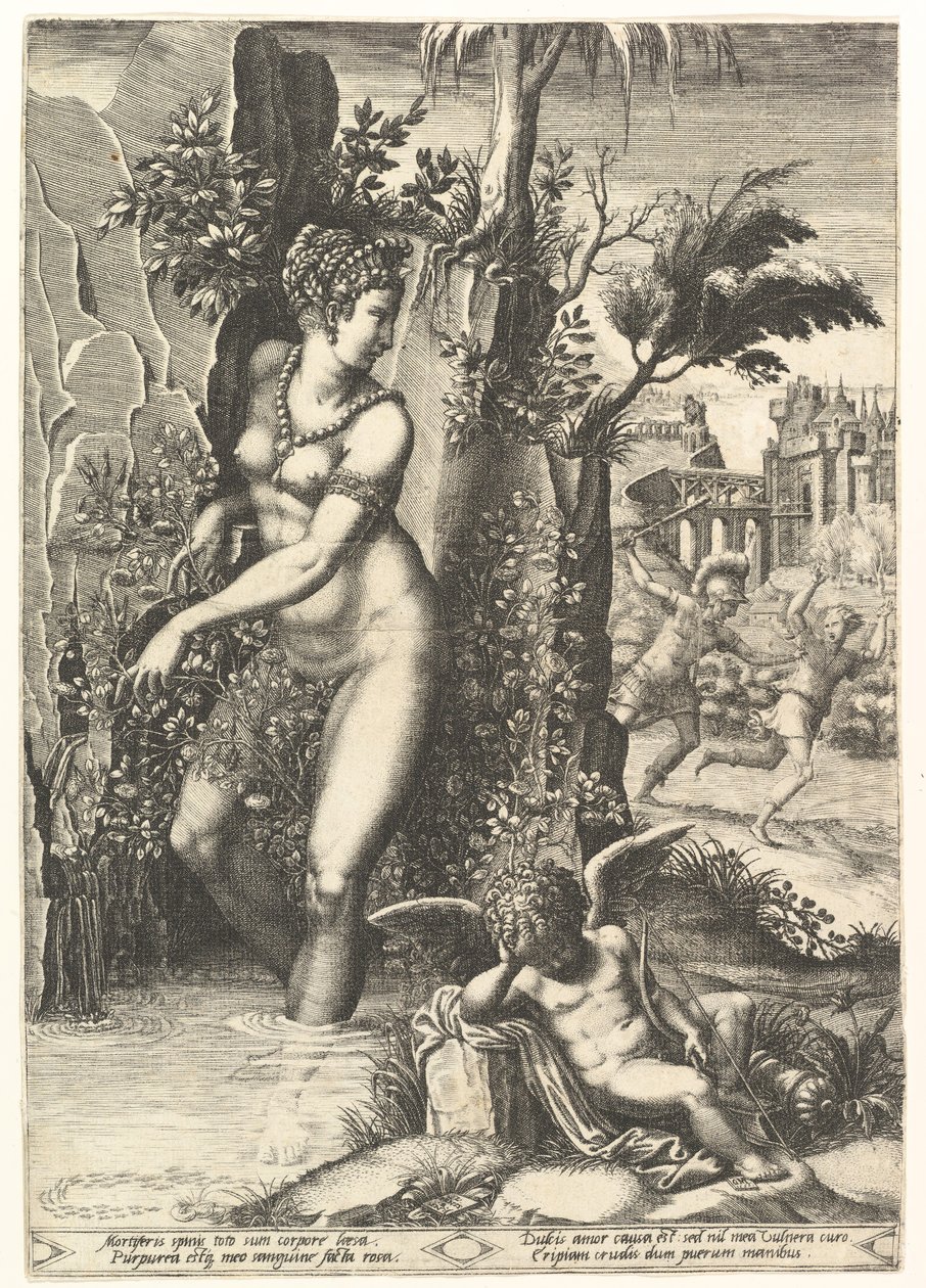 A Vénusz tövisekkel szurkált egy rózsabokor, a háttérben Mars üldözi Adonist, a ..., 1556. alkotó: Giorgio Ghisi