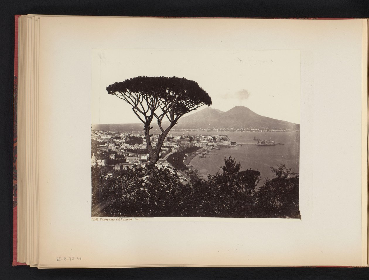 Kilátás Nápolyra, Olaszországra, egy fenyőfával az előtérben Panoráma völgy Vomero Napoli (cím az objektumon) alkotó: Giorgio Sommer