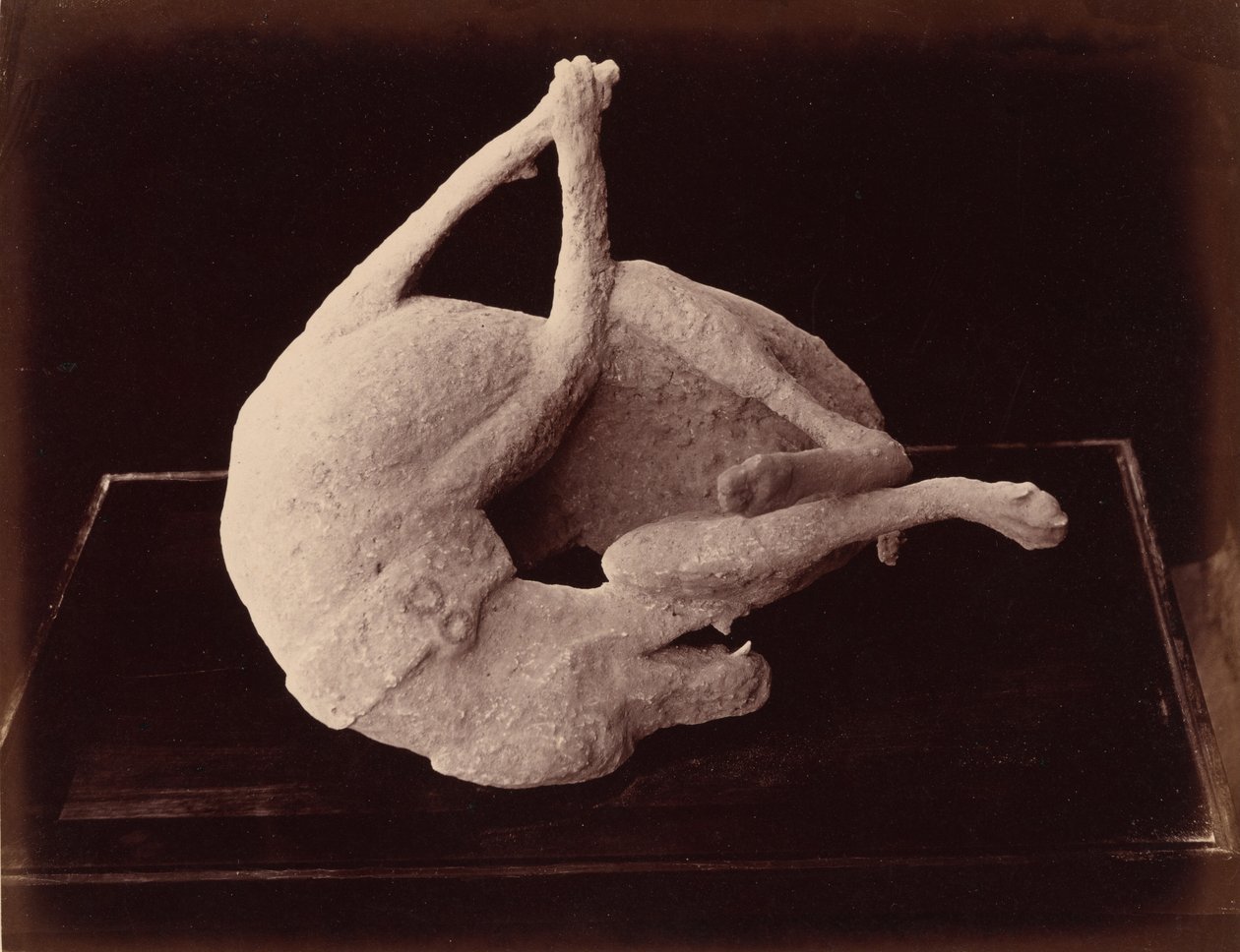 Cast, Pompeji, kb. 1870 (fotó) alkotó: Giorgio Sommer