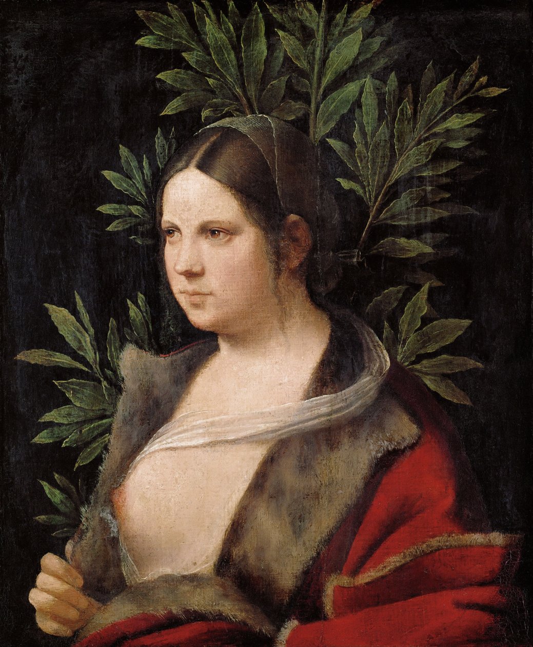 Fiatal nő ("Laura") alkotó: Giorgione
