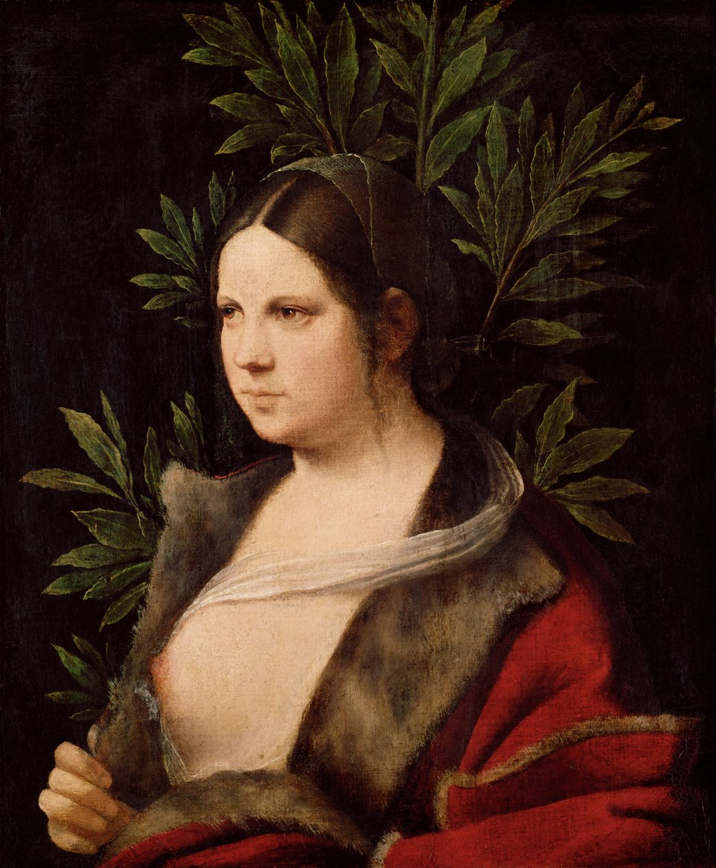 Laura fiatal nő, 1506 alkotó: Giorgione da Castelfranco
