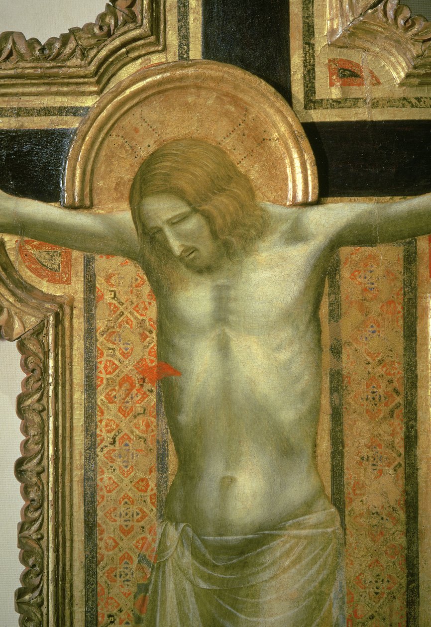 Feszület, Krisztus részlete, 1317-es tempera a táblán alkotó: Giotto di Bondone