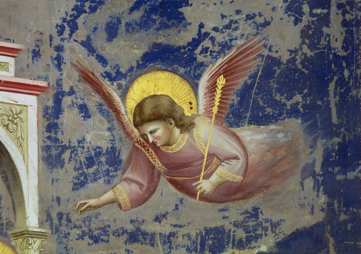 Angyal, Krisztus bemutatása a templomban, 1305 körül (freskó) (65195 részlet) alkotó: Giotto (c.1266 1337)