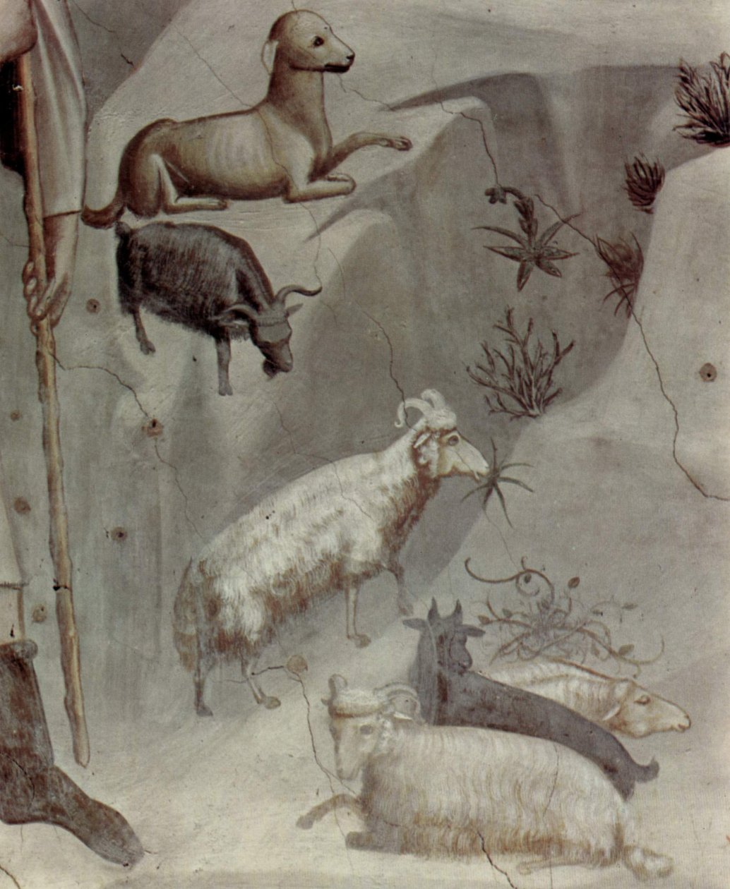Jelenetek Joachim életéből: 5. Joachim álma

 (részlet) alkotó: Giotto