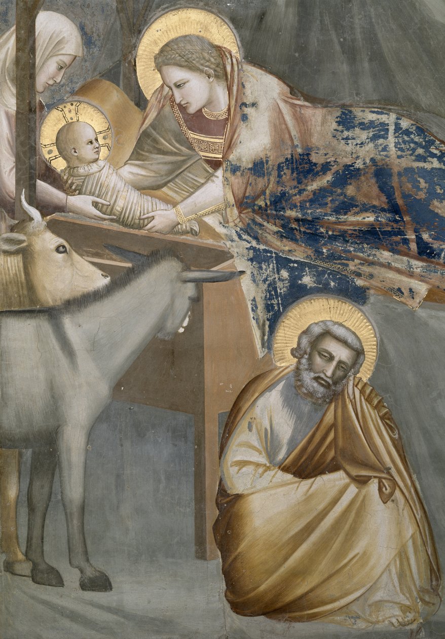 A születés, a Szűz és a Gyermek, a szamár és a József részlete, 1303-05 (restaurálás után) alkotó: Giotto di Bondone