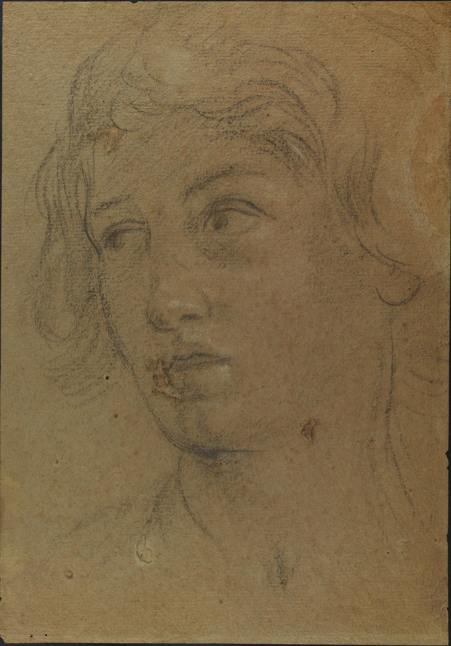 Egy fiatalember feje alkotó: Giovanni Andrea Sirani