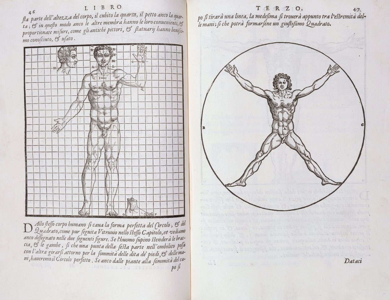 Ideális arányok az emberi test alapján, az 1590-ben megjelent „Della Architettura”-ból alkotó: Giovanni Antonio Rusconi