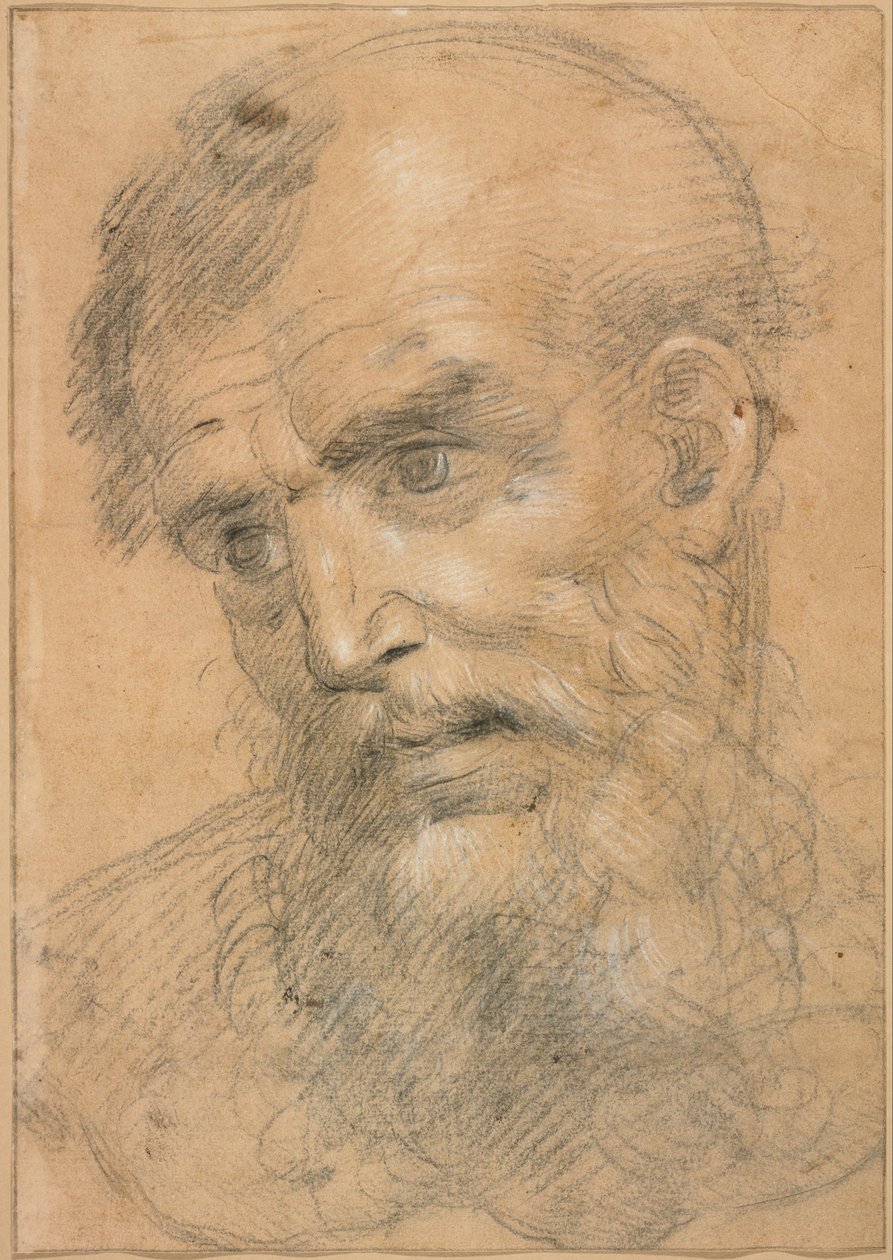 Szakállas férfi feje (recto); Tanulmány egy sacra conversazione (verso) alkotó: Giovanni Antonio Sogliani