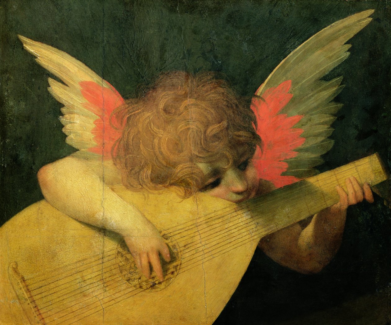 Angyalmuzsikus, 1520 körül (tempera a panelen) alkotó: Giovanni Battista Rosso Fiorentino