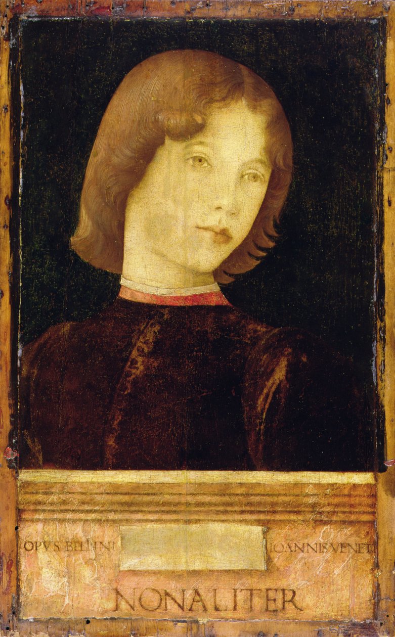 Egy fiú portréja, 1470 körül (tempera a panelen) alkotó: Giovanni Bellini