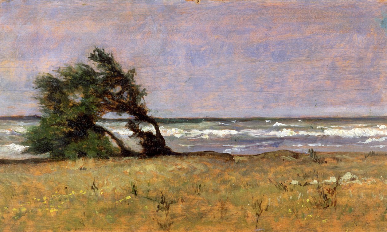 Vihar alkotó: Giovanni Fattori