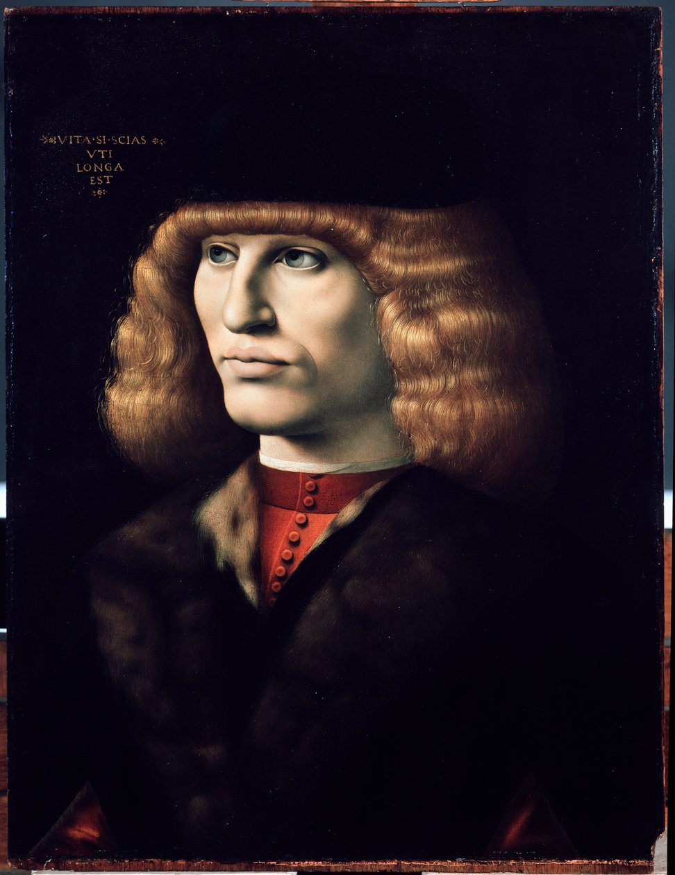Fiatal férfi portréja, 1495 körül (olaj, fa) alkotó: Giovanni Ambrogio de Predis