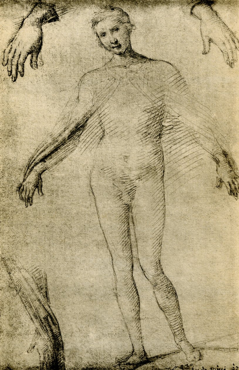 Modelltanulmány Szűz Máriáról, mint mater misericordiae-ról alkotó: Giovanni Antonio Bazzi Sodoma