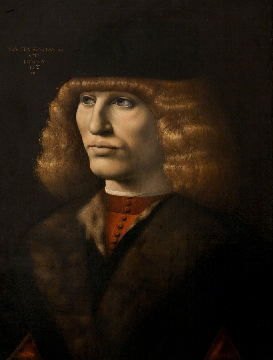 Fiatal férfi portréja, 1500 körül (olaj, tábla) alkotó: Giovanni Antonio Boltraffio