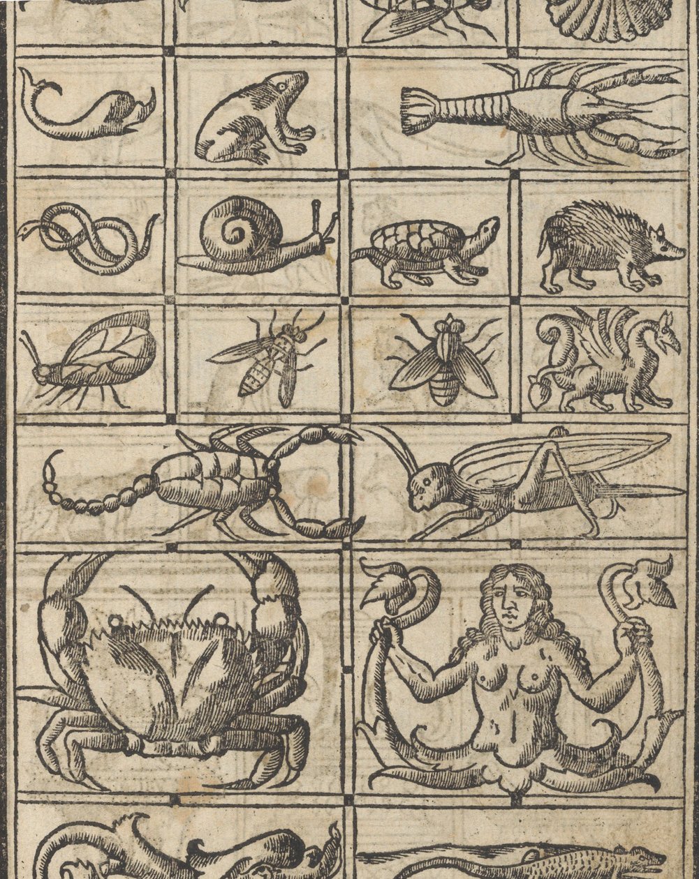 Recammi példa, 11. oldal recto, 1530. alkotó: Giovanni Antonio Tagliente