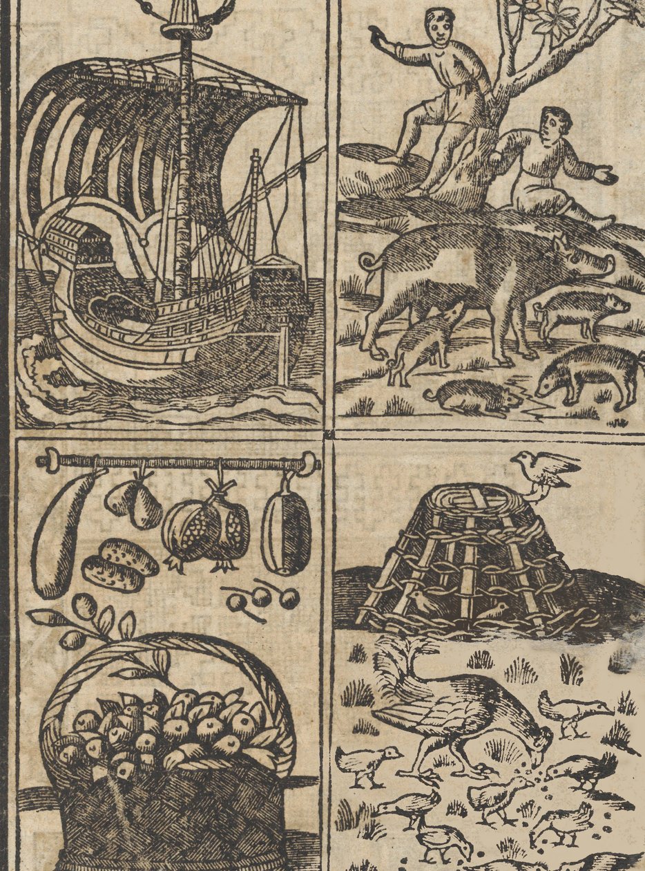 Recammi példa, 9. oldal recto, 1530. alkotó: Giovanni Antonio Tagliente