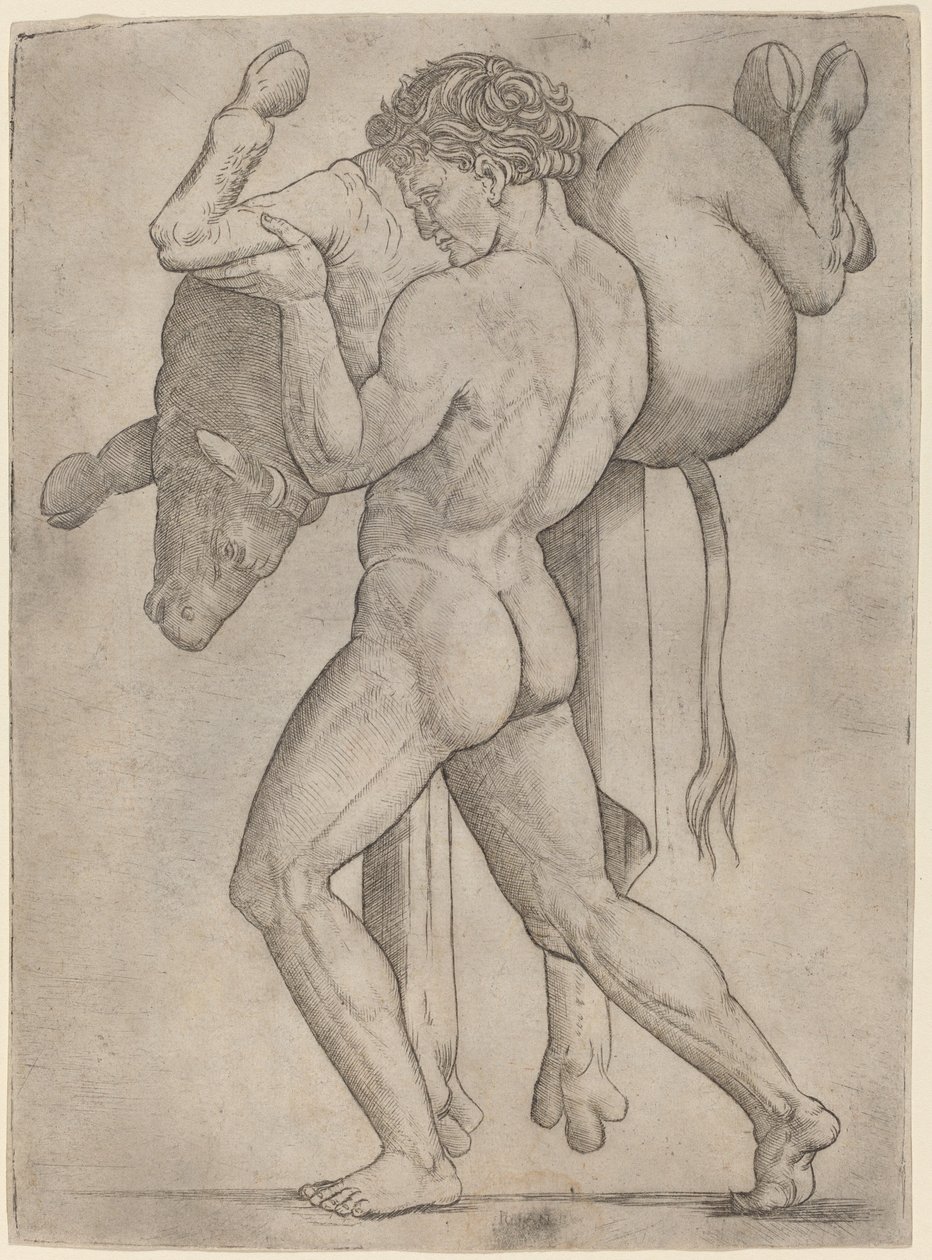 Herkules és a krétai bika alkotó: Giovanni Antonio da Brescia