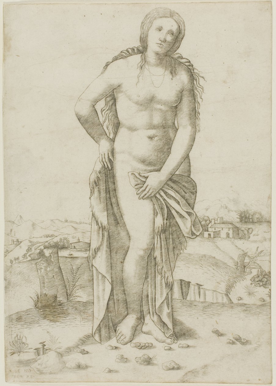 Vénusz alkotó: Giovanni Antonio da Brescia