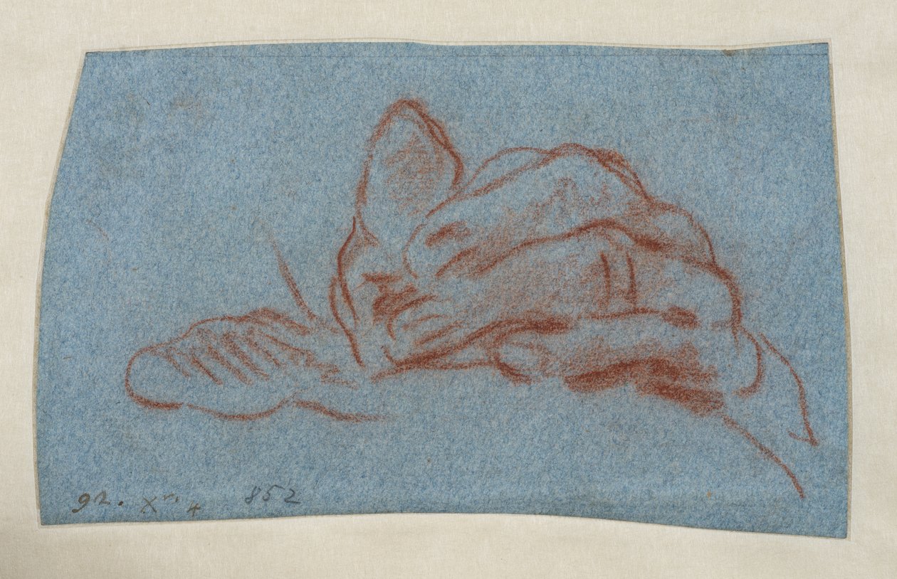 Bal kéz tanulmánya, 1750-1754 körül (vörös kréta csonkolással, kék rakott papírra) alkotó: Giovanni Battista (attr. to) Tiepolo