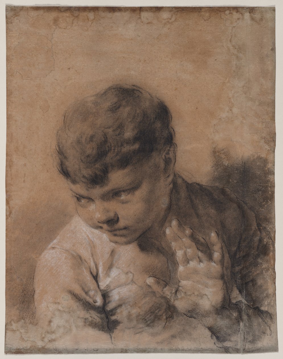 A művész fiának, Giacomónak portréja alkotó: Giovanni Battista Piazzetta