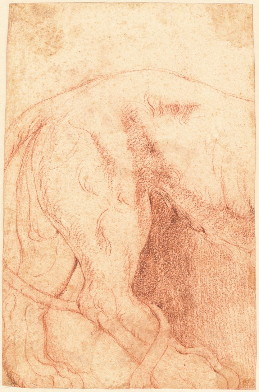 Oroszlán domborműtöredéke (fordítva) alkotó: Giovanni Battista Piranesi