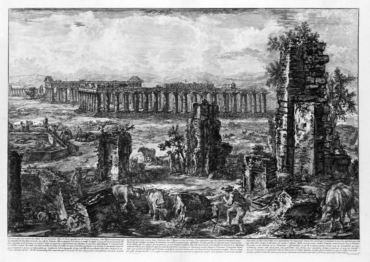 Kilátás a Paestum templomaira (litho) alkotó: Giovanni Battista Piranesi