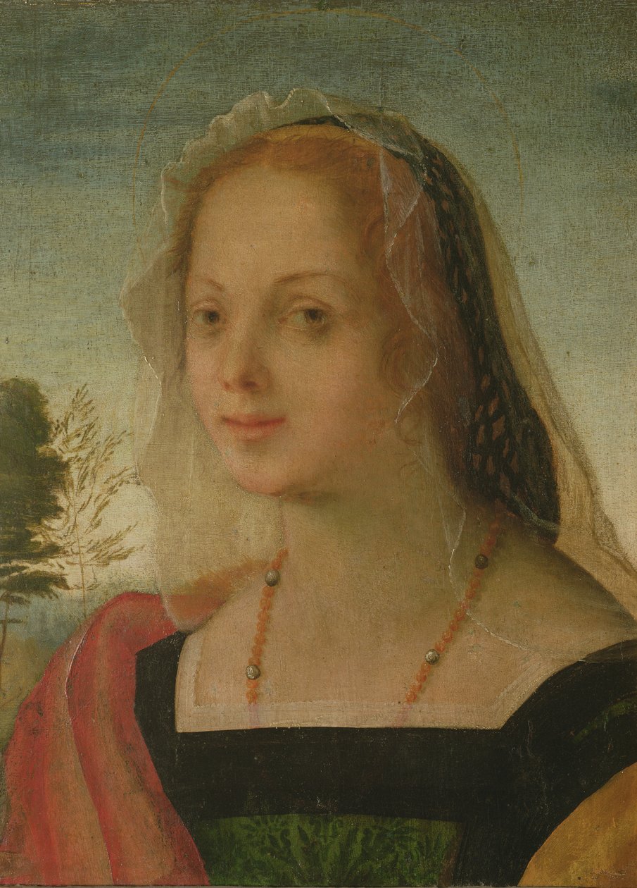 Fiatal lány portréja (tempera a panelen) alkotó: Giovanni Battista Rosso Fiorentino