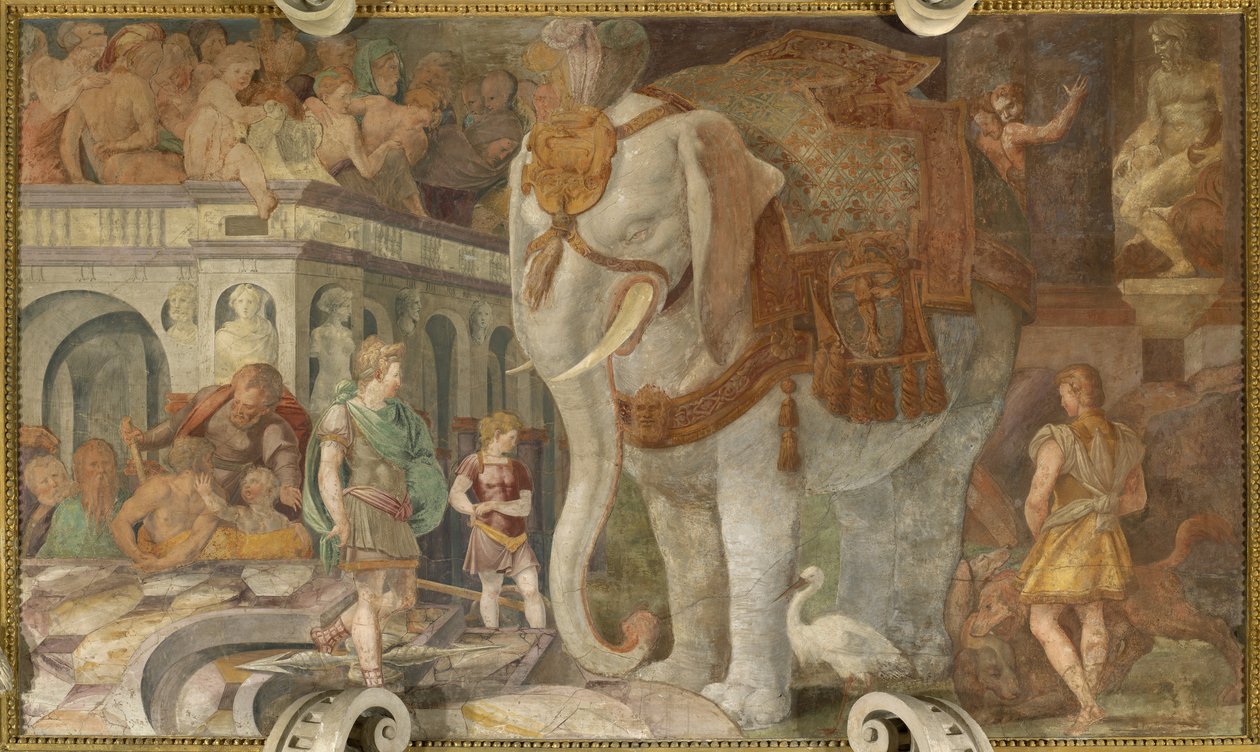 A királyi elefánt alkotó: Giovanni Battista Rosso Fiorentino