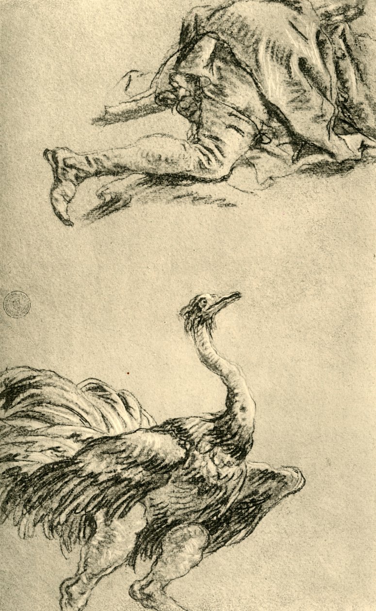 Egy futó strucc, 1752-1753, 1928 alkotó: Giovanni Battista Tiepolo