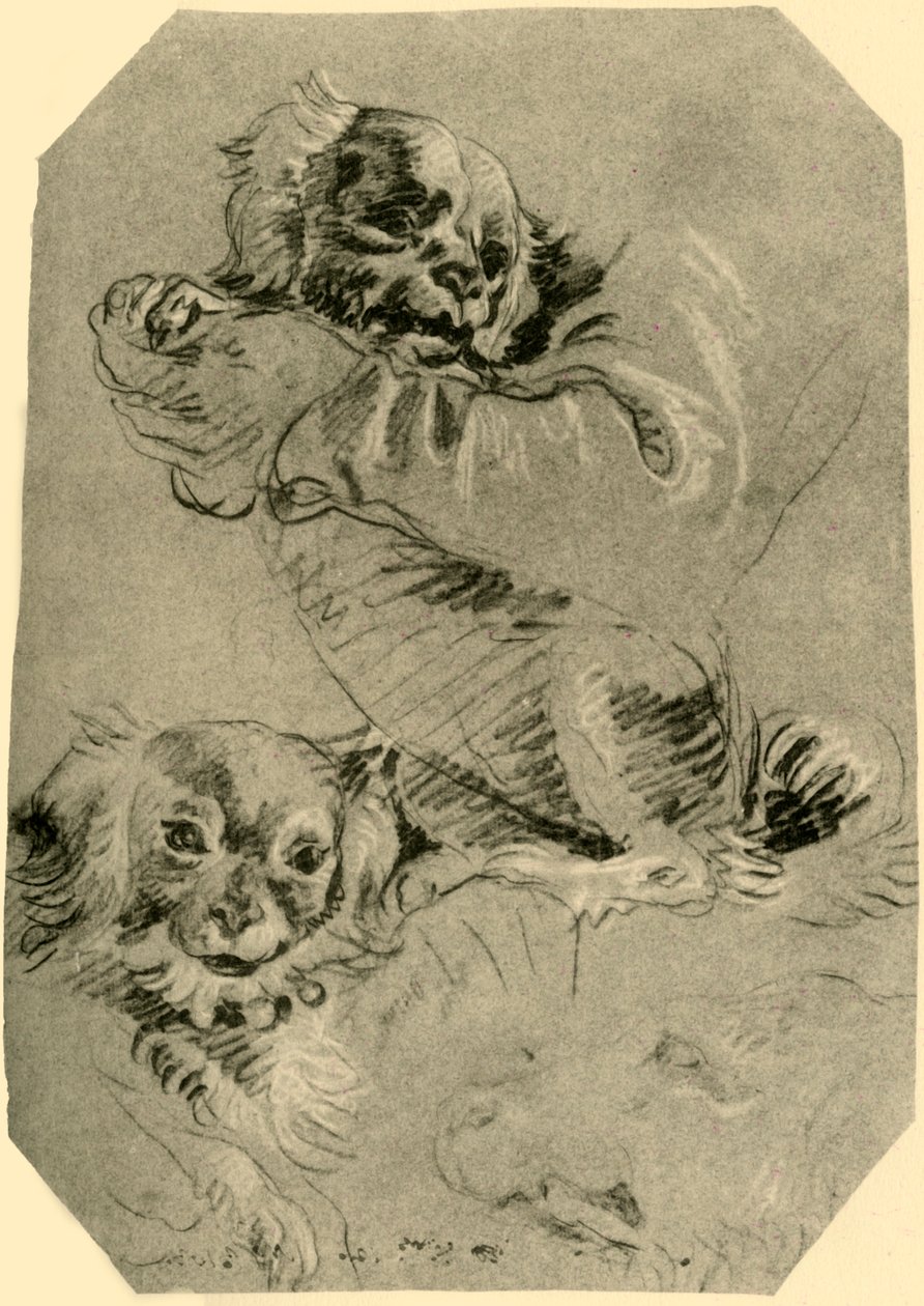 Bolognai kutyák, 1751-1752, 1928 alkotó: Giovanni Battista Tiepolo