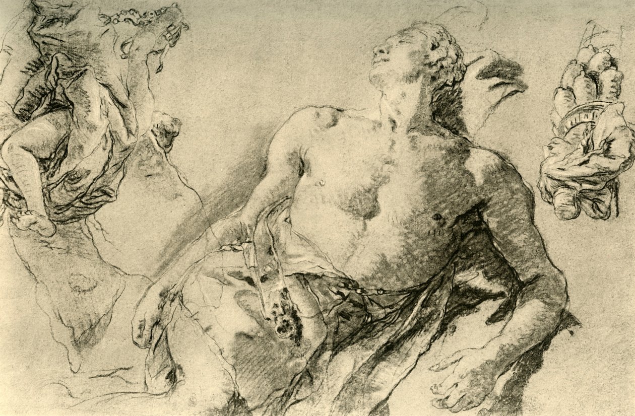 Részletes tanulmány a bückeburgi jácintról, c1752, 1928 alkotó: Giovanni Battista Tiepolo