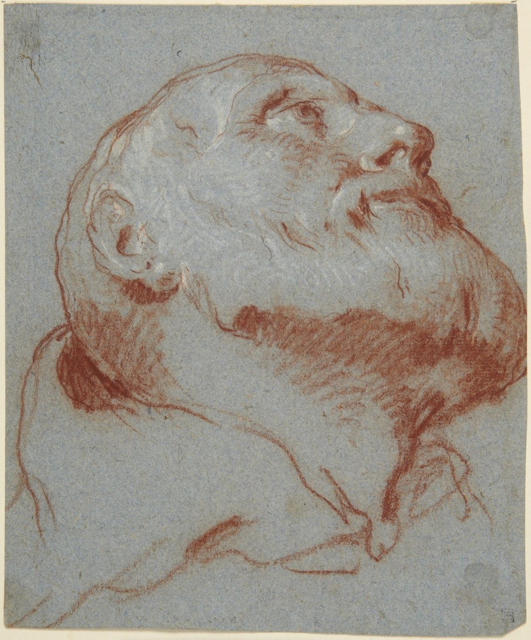 Szakállas férfi feje, alulról nézve, felfelé tekintve alkotó: Giovanni Battista Tiepolo